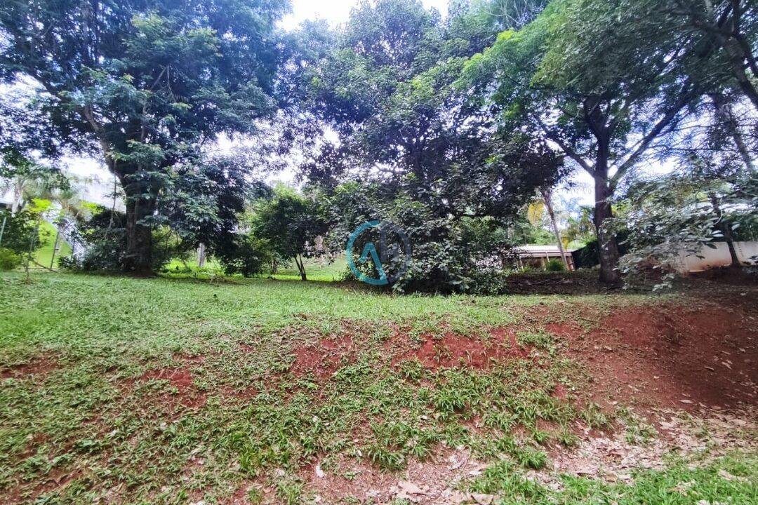 TE-074 (1)